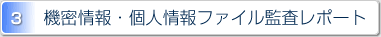 3.機密情報・個人情報ファイル監査レポート
