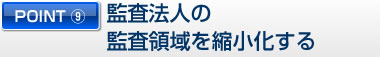 POINT９ 監査法人の監査領域を縮小化する