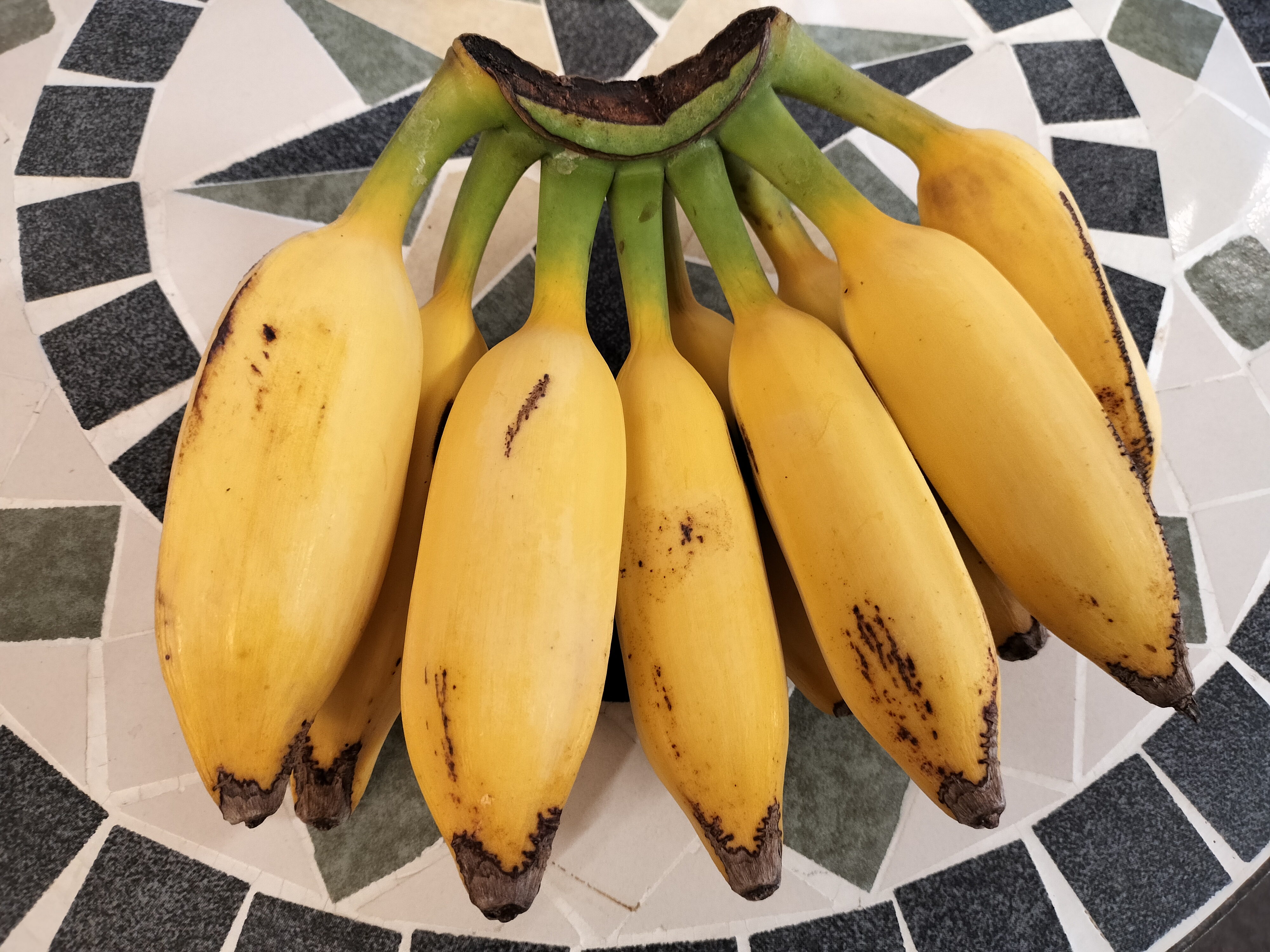 【白浜本社】バナナが収穫されました！